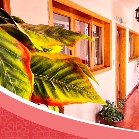 Hotel De Mariacentro San Cristobal de las Casas Luaran gambar